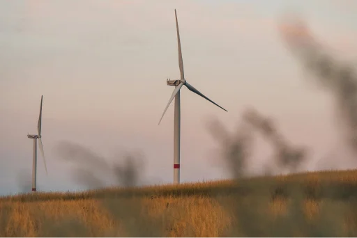 Educación y formación