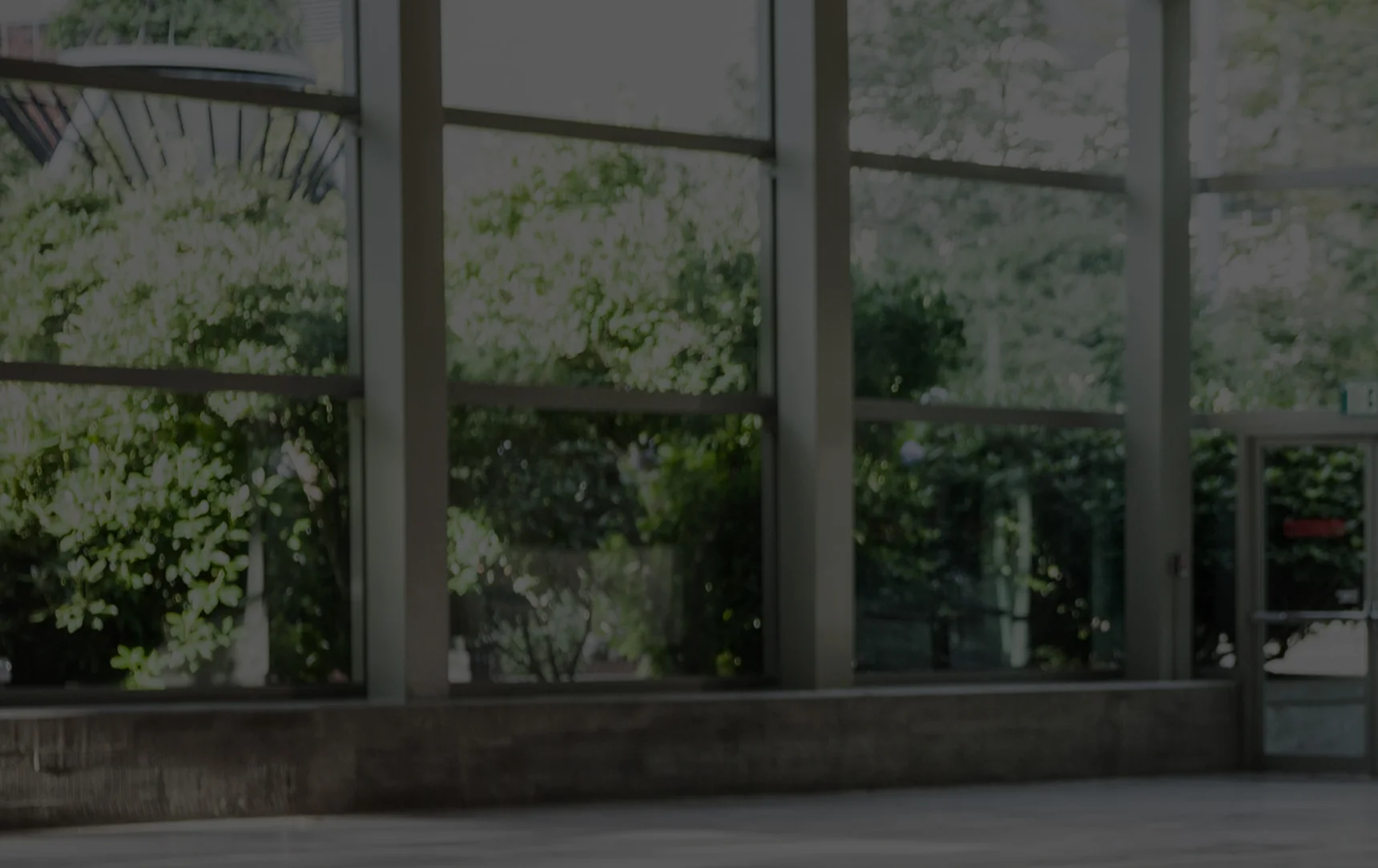 Vista de un entorno natural desde el interior, integración de tecnología y medio ambiente.